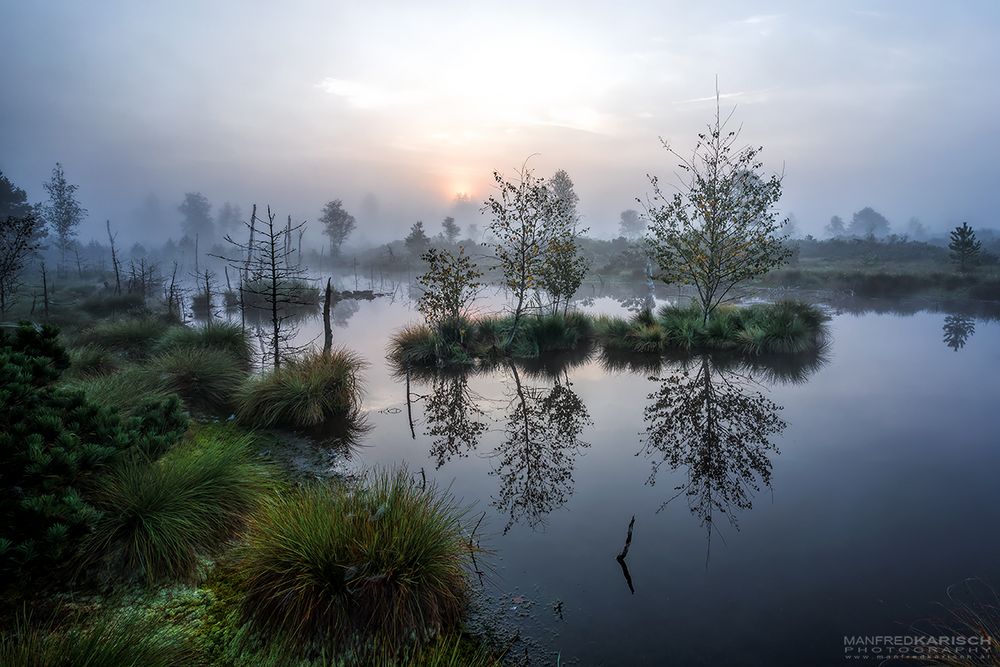 Morgenstimmung im Moor