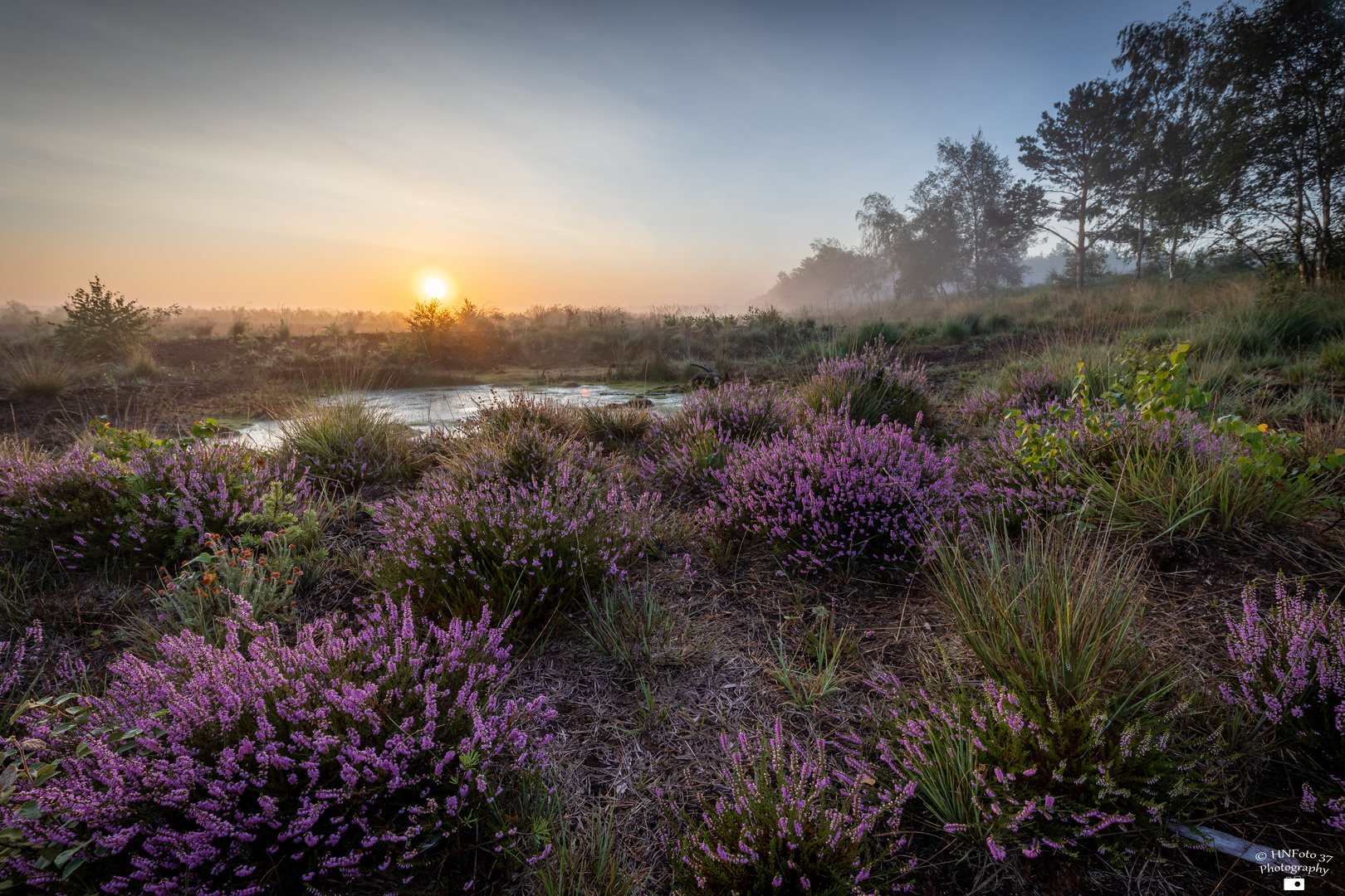 Morgenstimmung im Moor