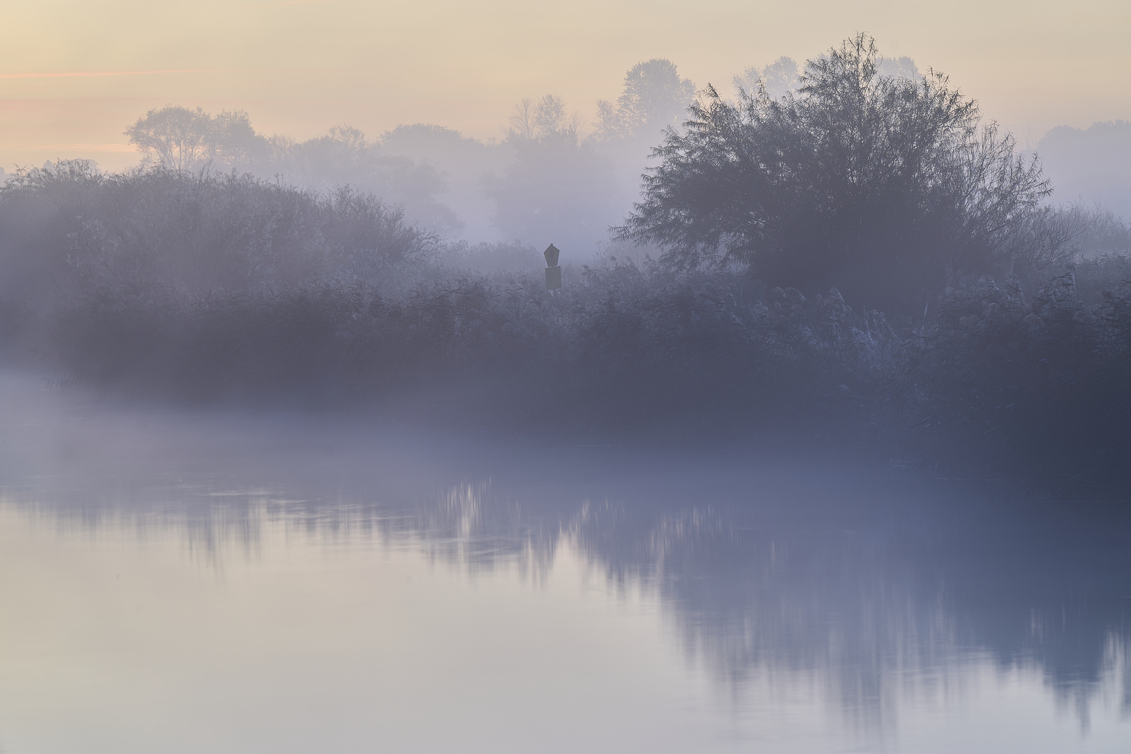 Morgenstimmung im Moor