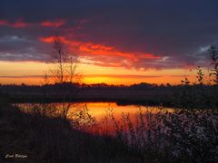 Morgenstimmung im Moor