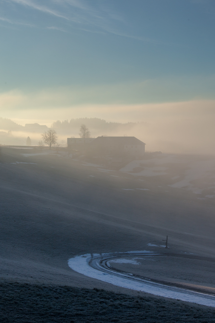 Morgenstimmung im Mühlviertel