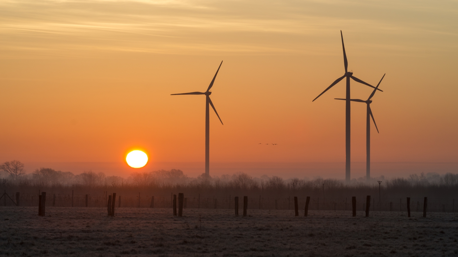 Morgenstimmung im Münsterland