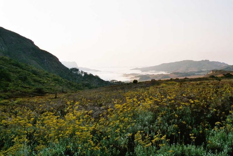 Morgenstimmung im Mulanje-Gebirge