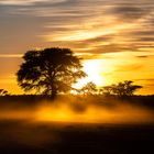 Morgenstimmung im National Park