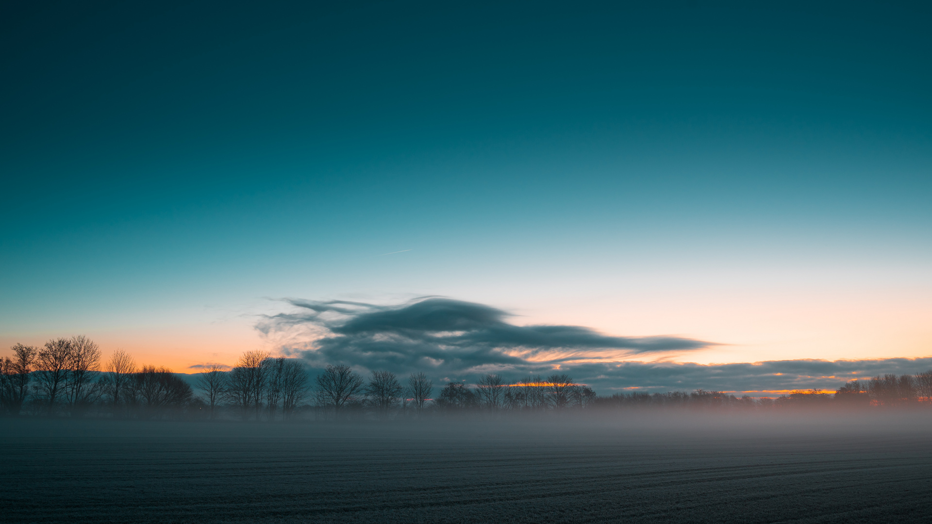 Morgenstimmung im Nebel