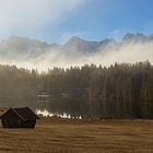 ~ Morgenstimmung im Nebel ~