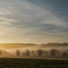 Morgenstimmung im Nebel