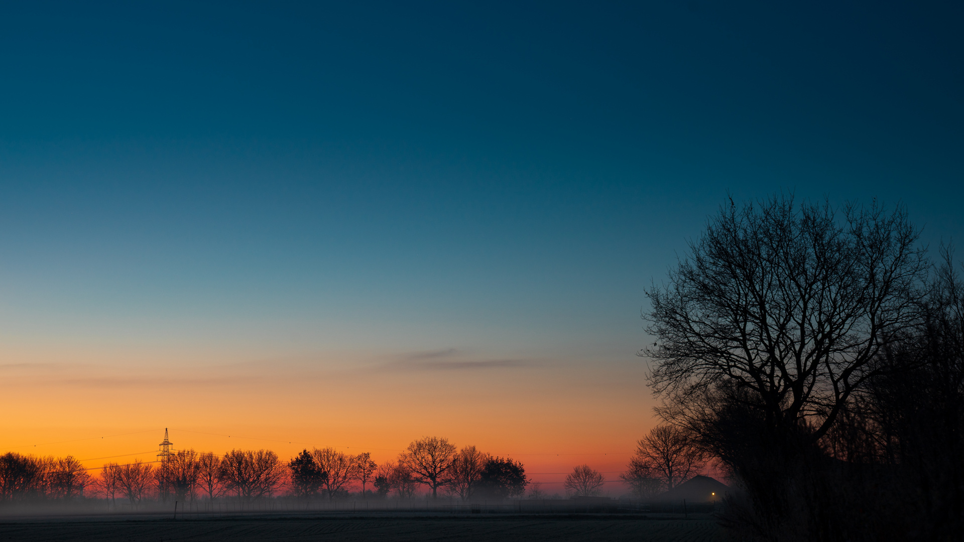 Morgenstimmung im Nebel