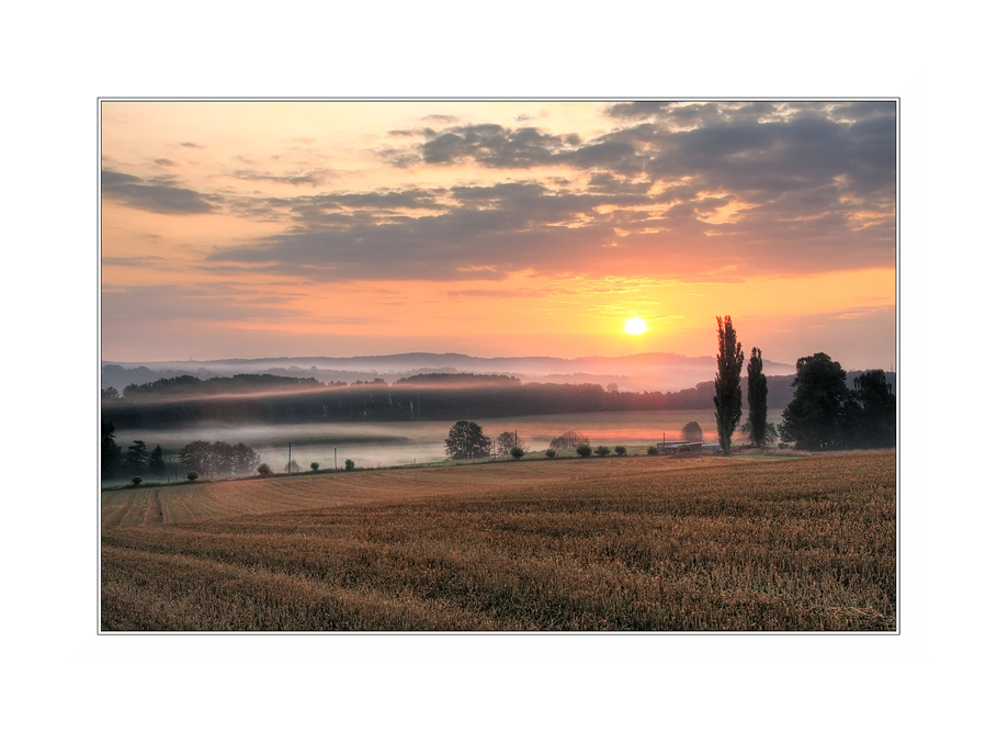 Morgenstimmung im Nebel