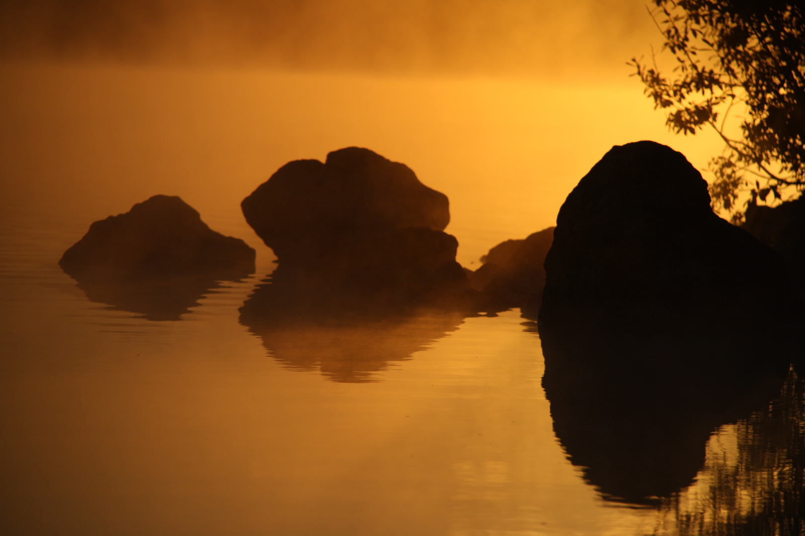 Morgenstimmung im Nebel