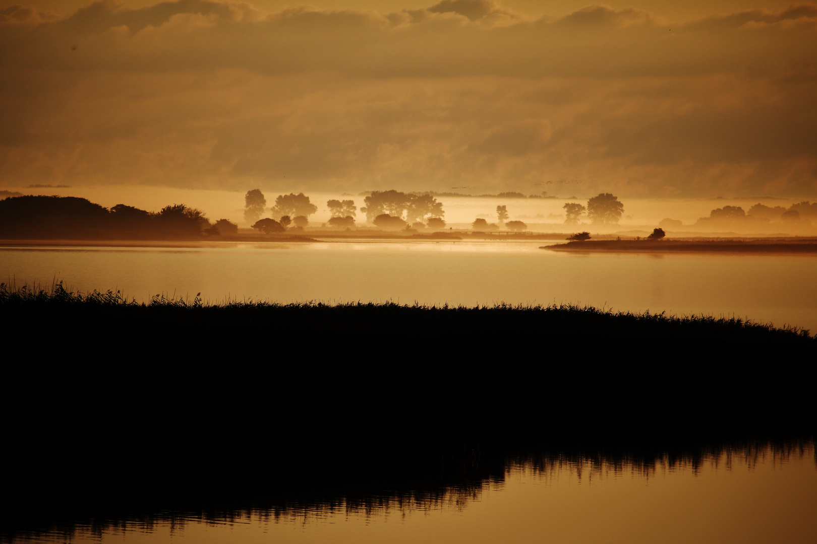 Morgenstimmung im Nebel zwischen Rügen und Ummanz