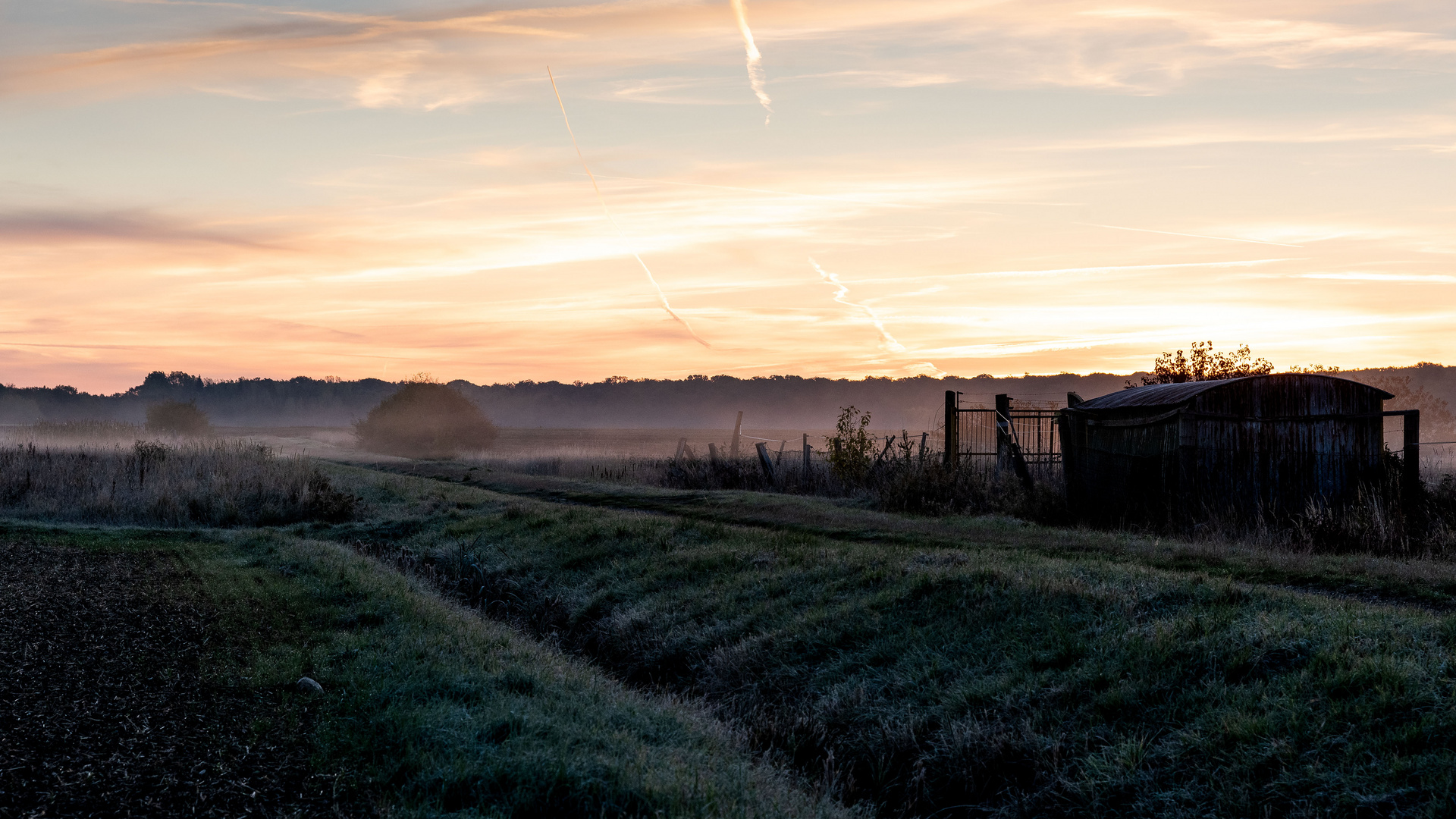 Morgenstimmung im Norden von Braunschweig (1)