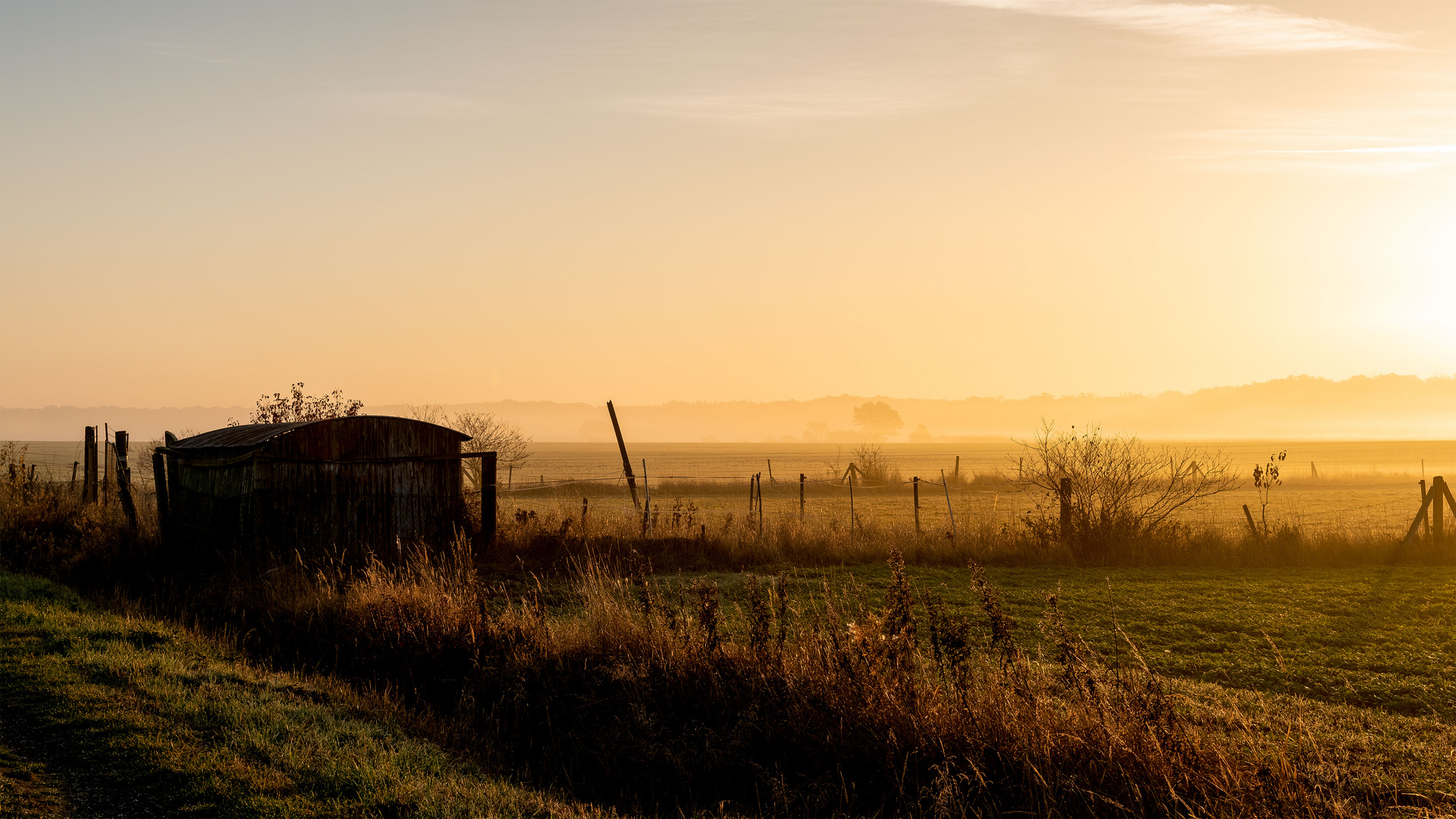 Morgenstimmung im Norden von Braunschweig (6)