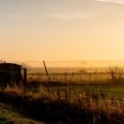 Morgenstimmung im Norden von Braunschweig (6)