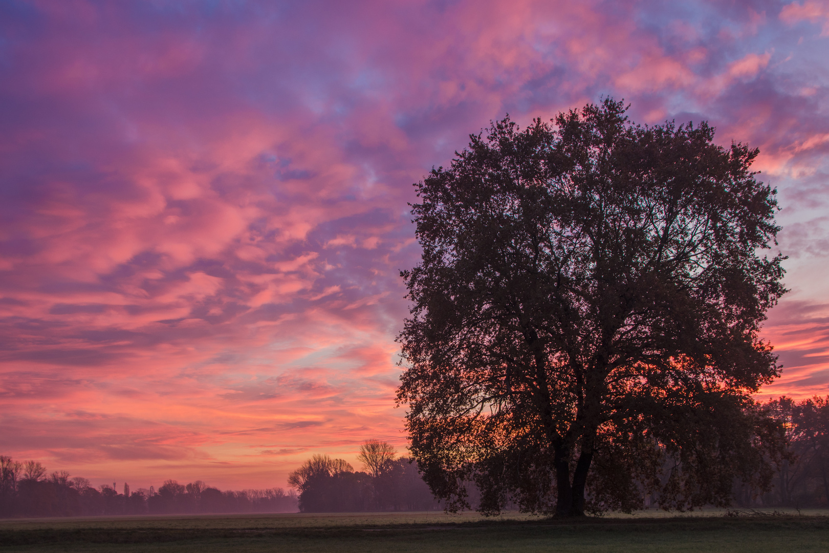 Morgenstimmung im November