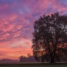 Morgenstimmung im November