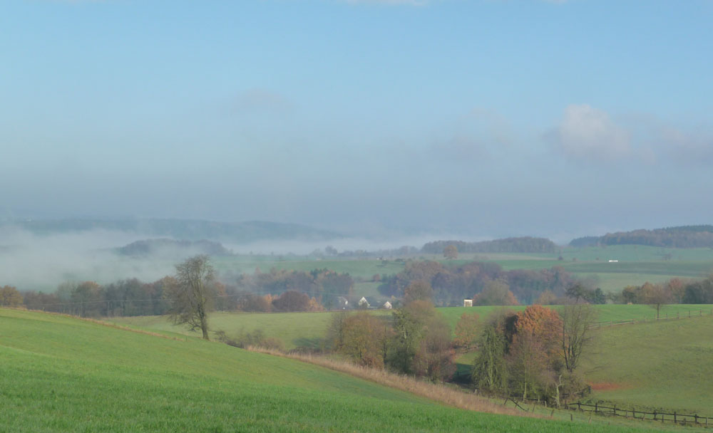 Morgenstimmung im Oberbergischen Kreis