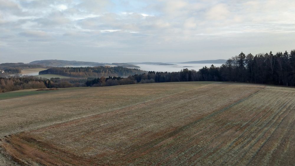 Morgenstimmung im Odenwald