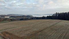 Morgenstimmung im Odenwald