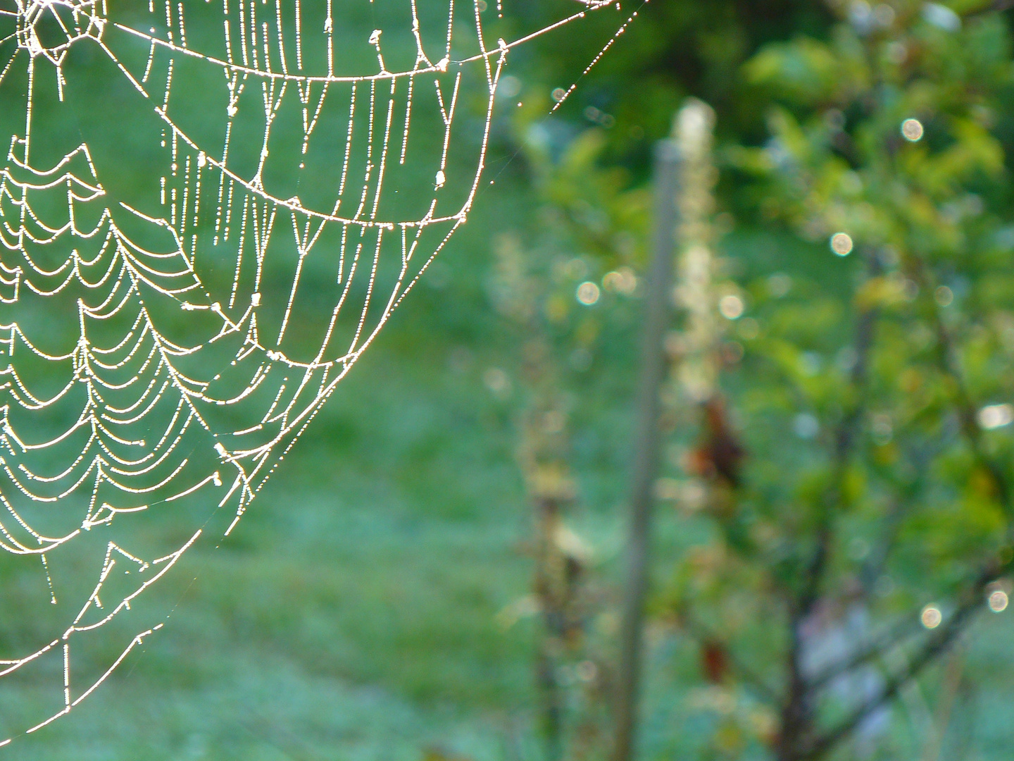 Morgenstimmung im Oktober