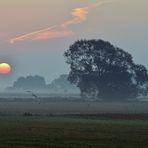 Morgenstimmung im Oktober