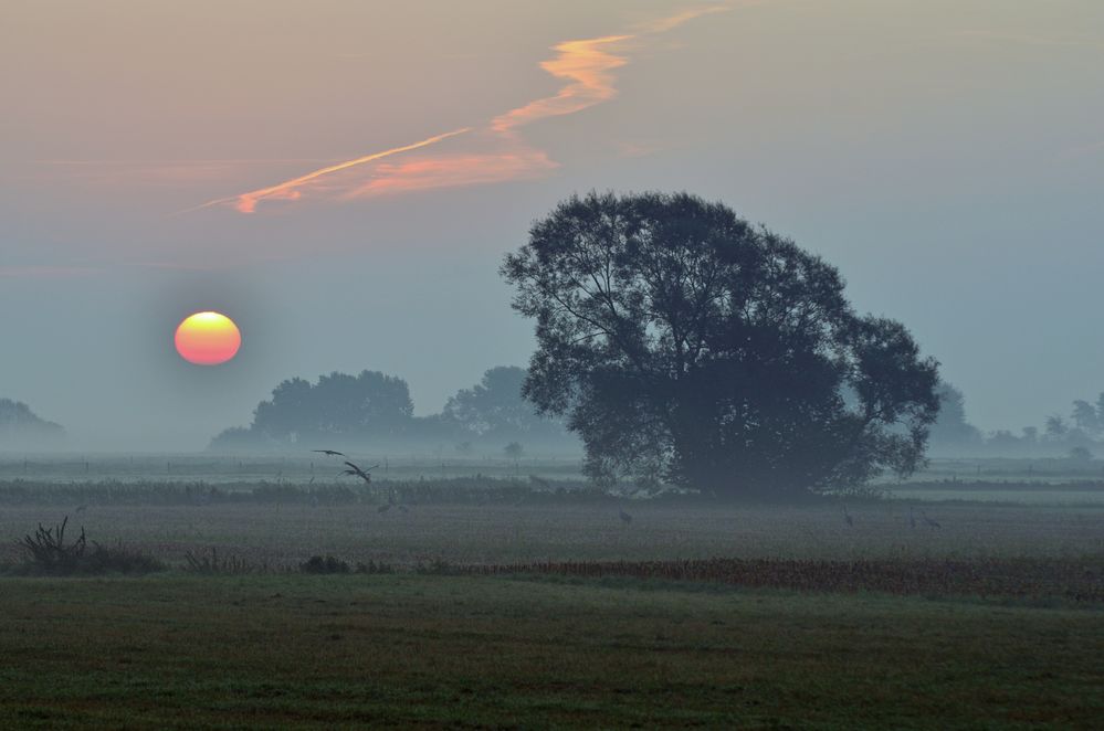 Morgenstimmung im Oktober von StMeyer 