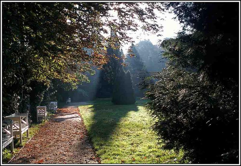 Morgenstimmung im Park