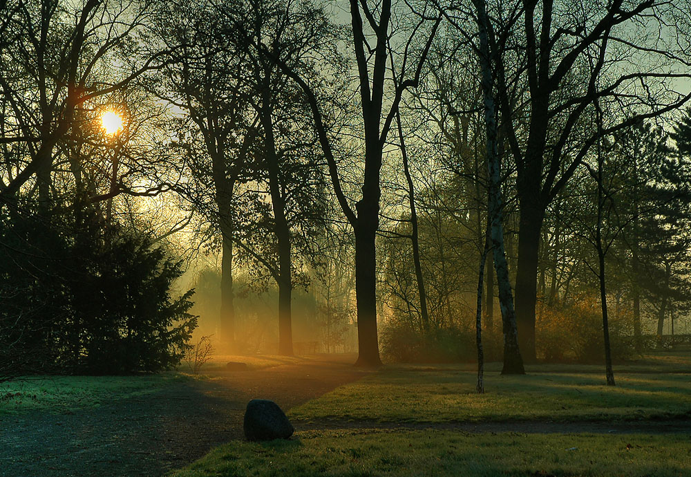 Morgenstimmung im Park