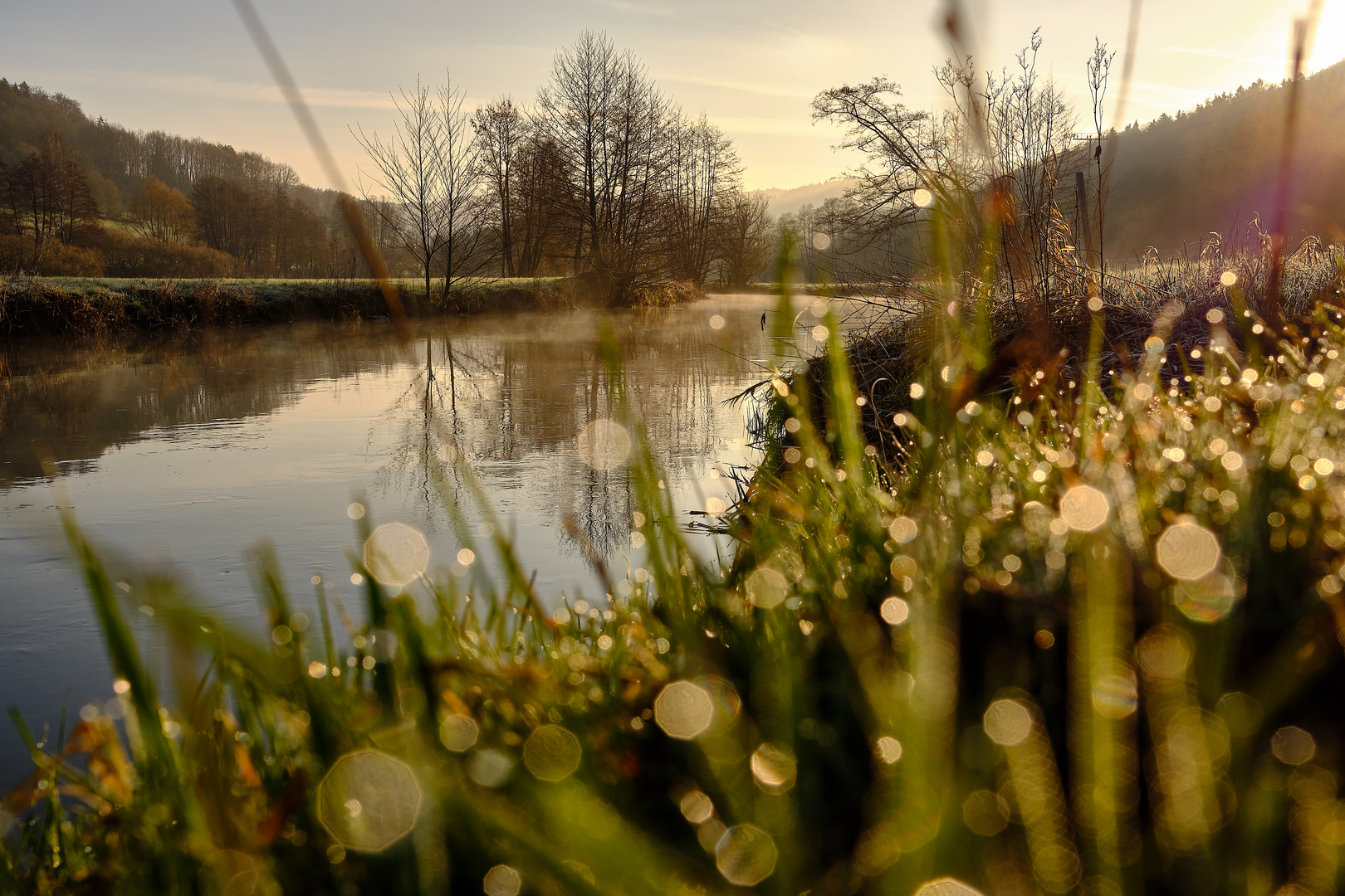 Morgenstimmung im Pegnitztal