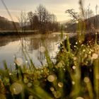 Morgenstimmung im Pegnitztal