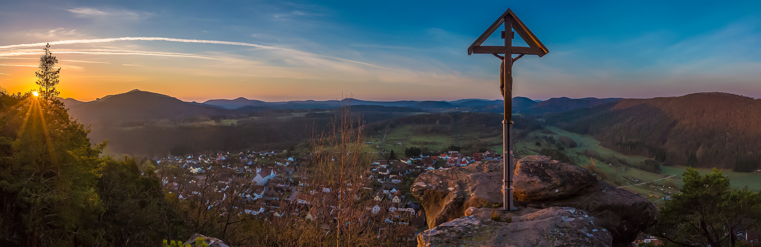 Morgenstimmung im Pfälzerwald