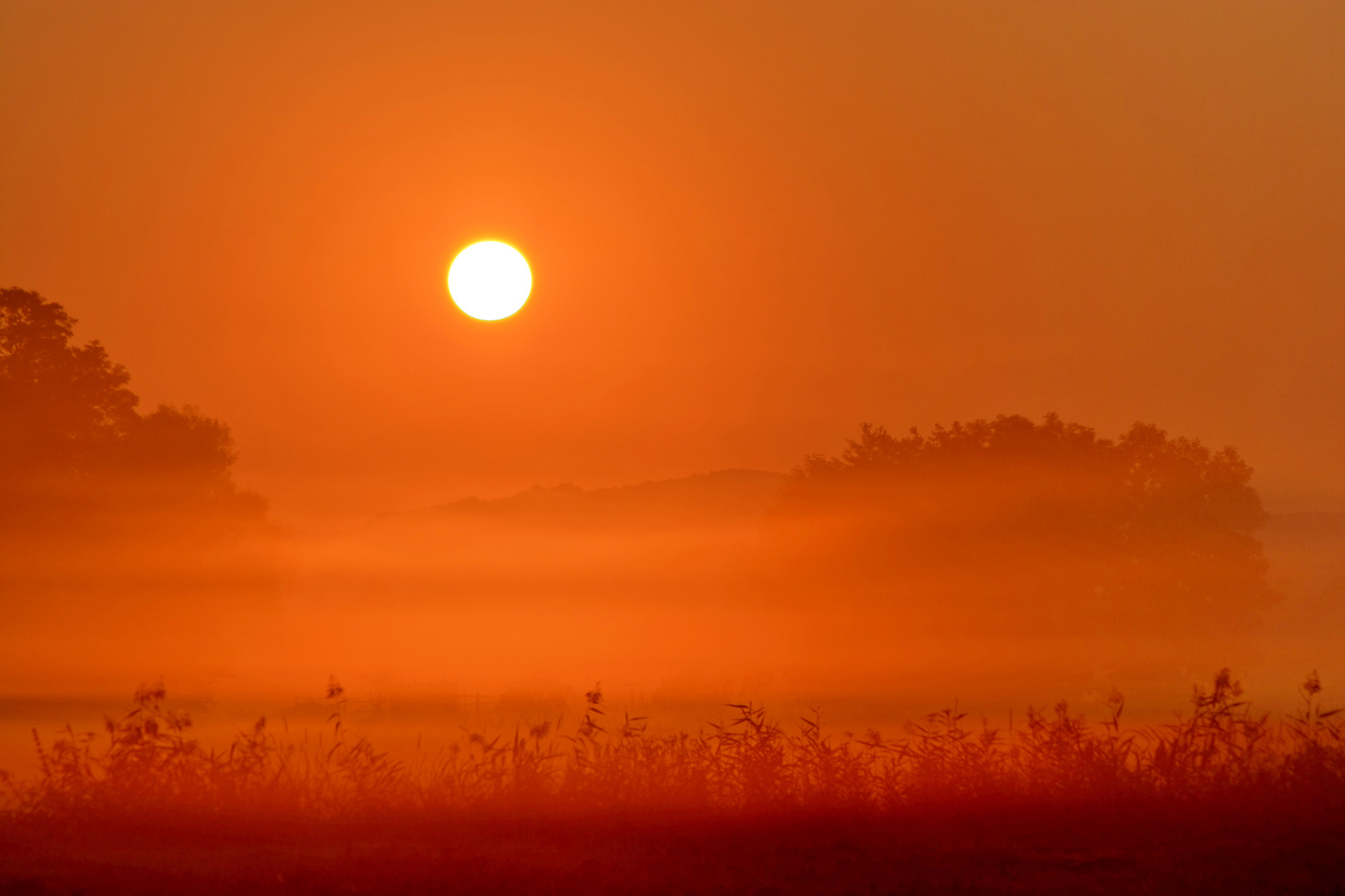 Morgenstimmung im Rhön-Grabfeld