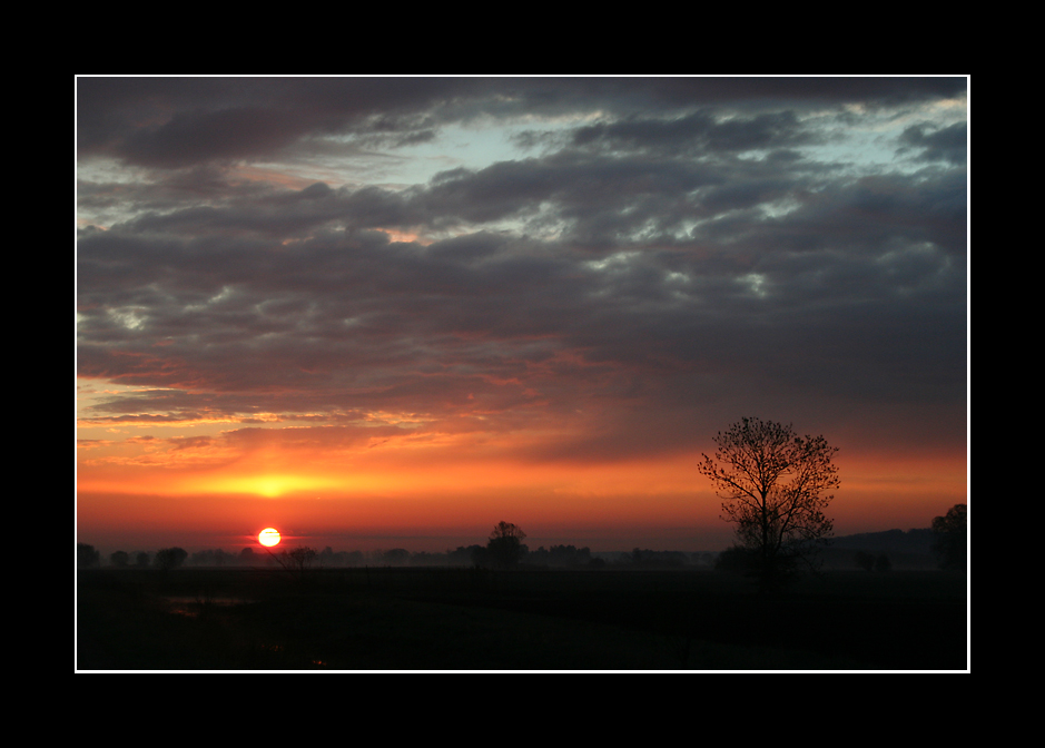 Morgenstimmung im Ried