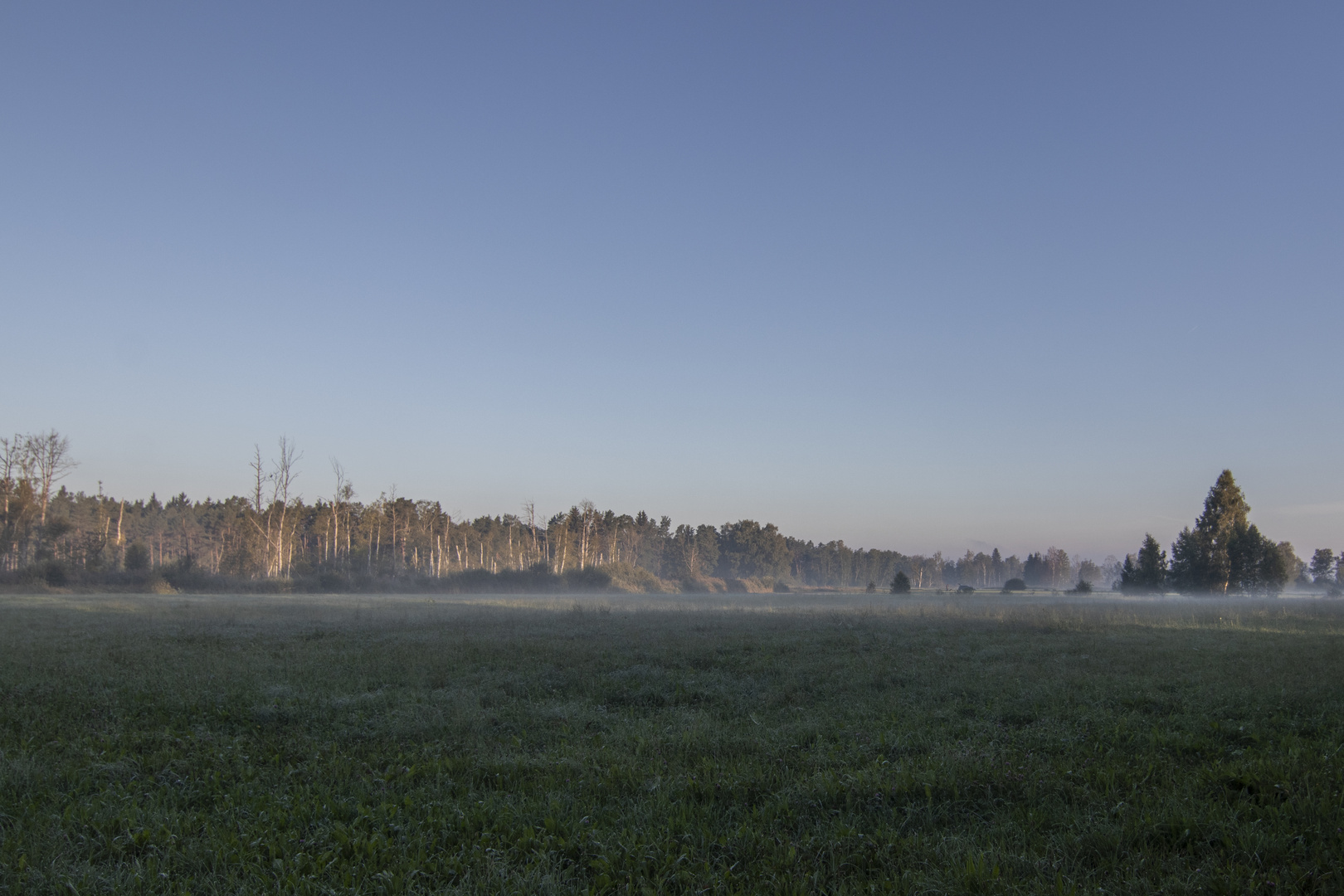 Morgenstimmung im Ried