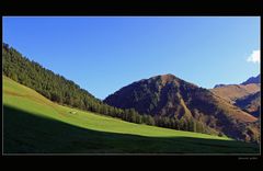 Morgenstimmung im Schmirntal