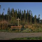 Morgenstimmung im Schwarzwald