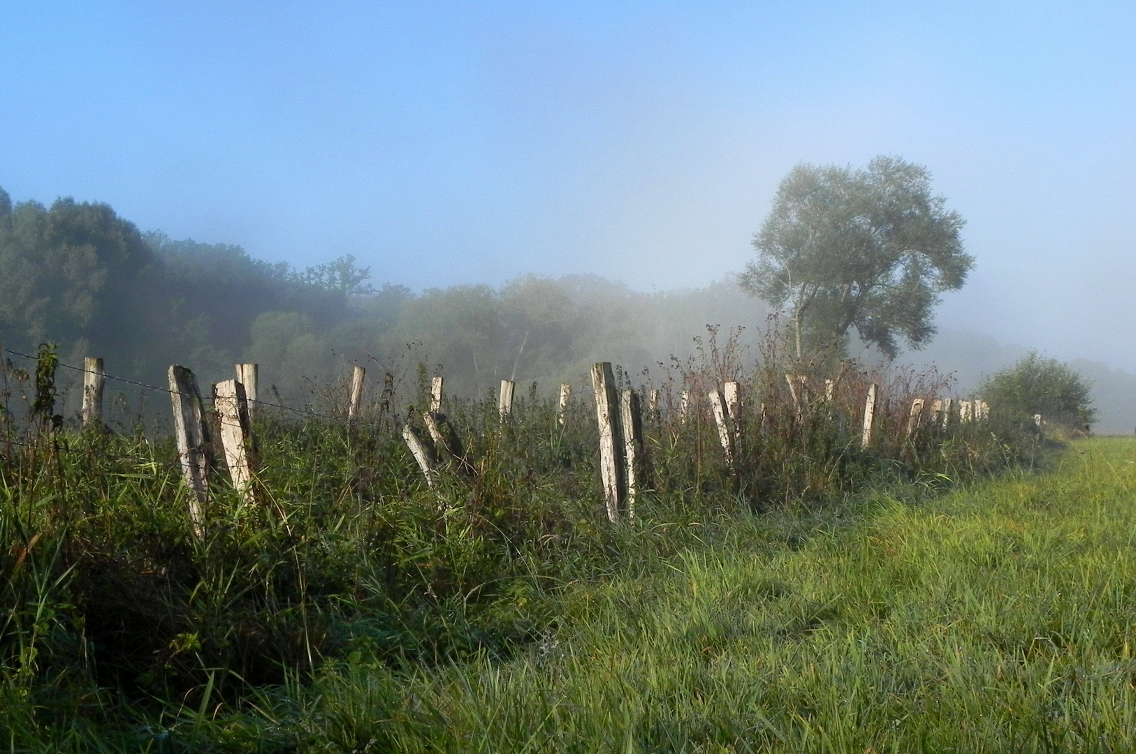 Morgenstimmung im September