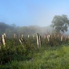 Morgenstimmung im September