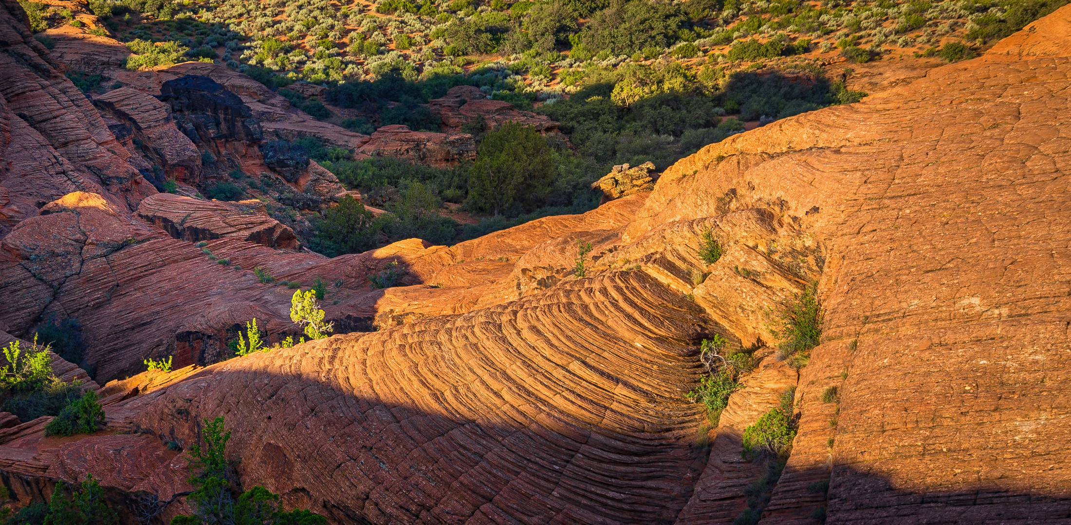 Morgenstimmung im Snow-Canyon