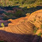 Morgenstimmung im Snow-Canyon