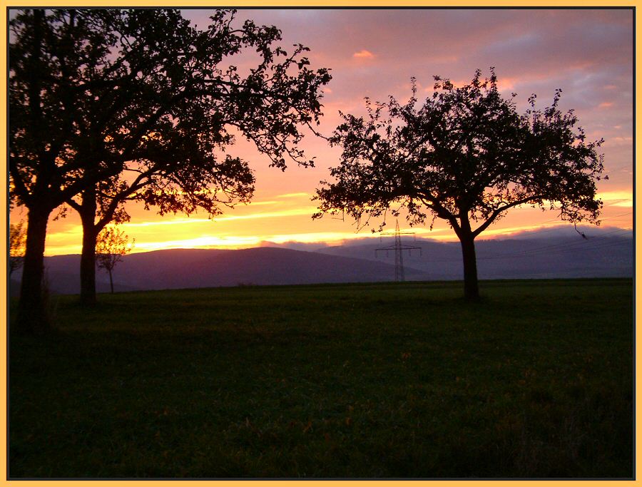 Morgenstimmung im Spessart