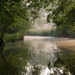 Morgenstimmung im Spreewald