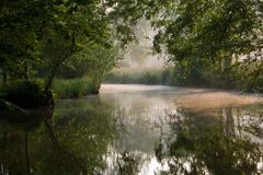 Morgenstimmung im Spreewald