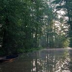 Morgenstimmung im Spreewald (2)