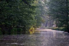 Morgenstimmung im Spreewald (3)