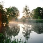 Morgenstimmung im Spreewald