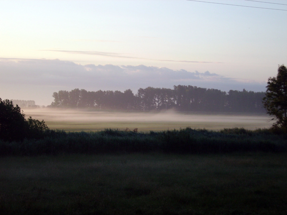 Morgenstimmung im Störtal