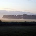 Morgenstimmung im Störtal