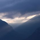 Morgenstimmung im Südtiroler Unterland