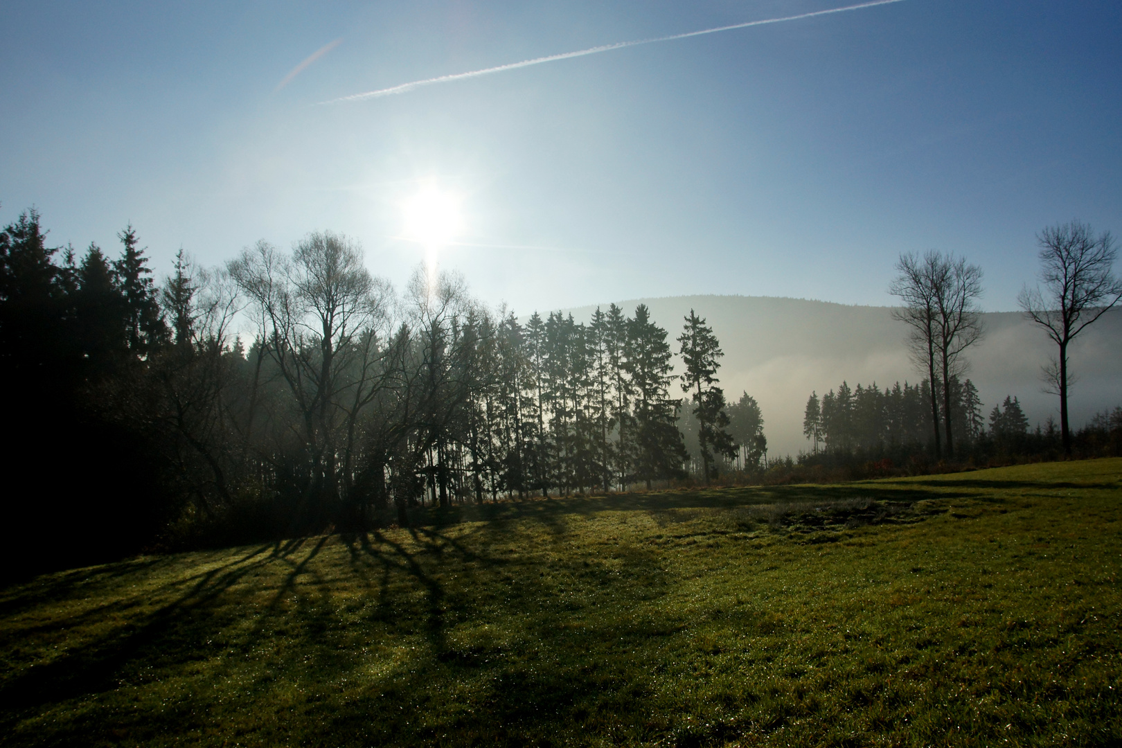 Morgenstimmung im Tal der Donau